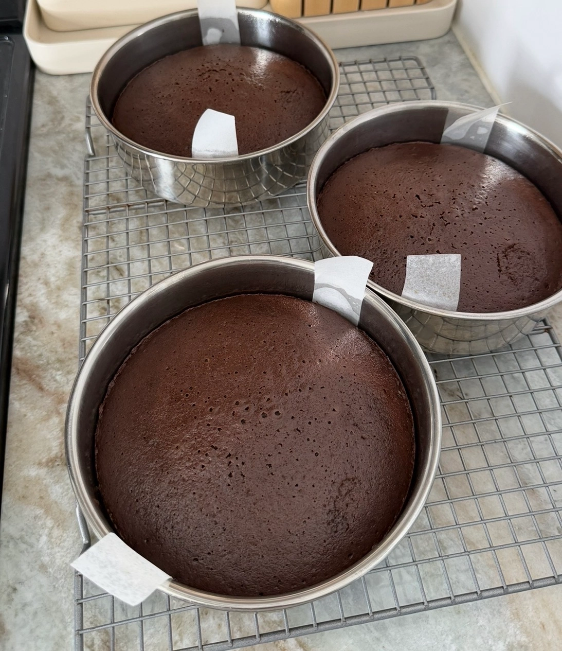 Mini Cake Pan | 6 inch (my exact ones from series)
