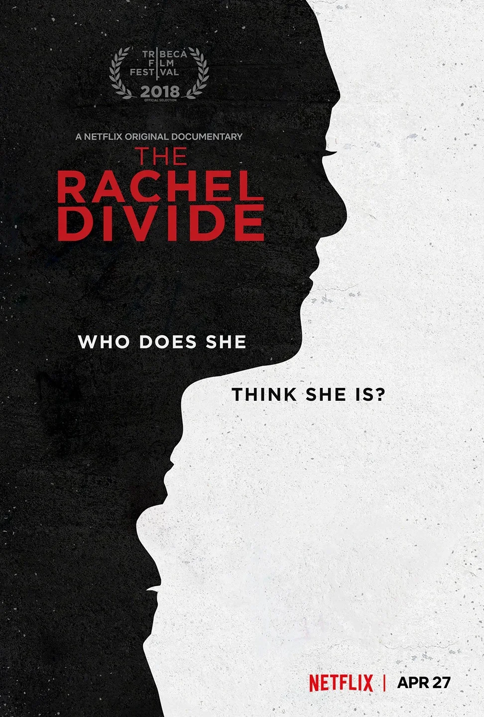 The Netflix Documentary
