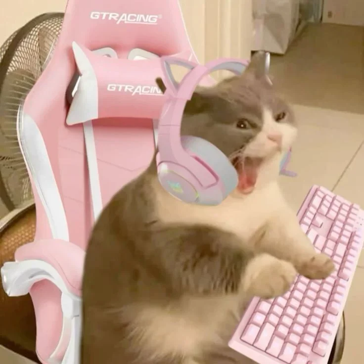 youtube gamer