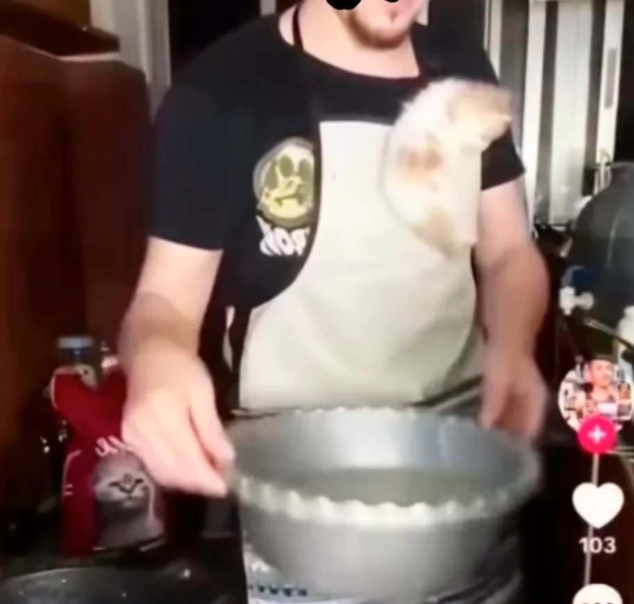 المشة مسكينة 💔