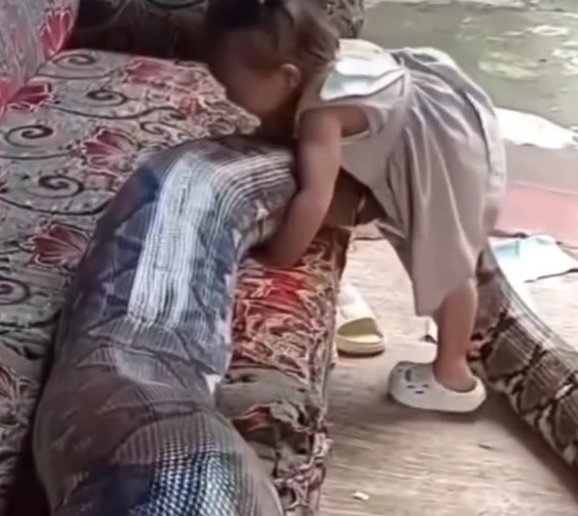 الحنش كامل 💔🥹