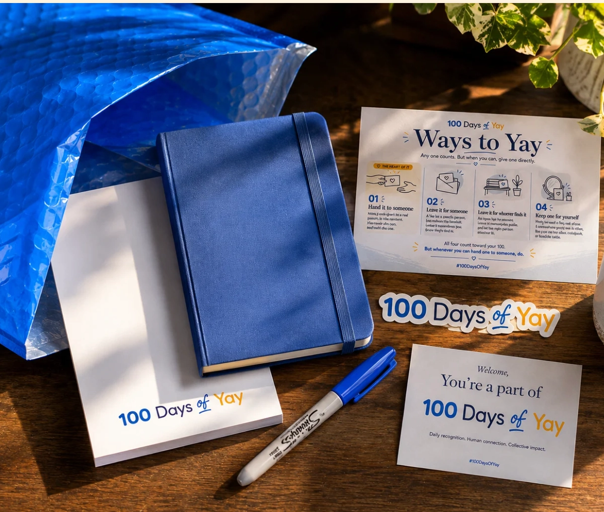 Order/Gift a 100 Days of Yay Kit