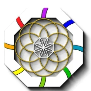Future multiverse