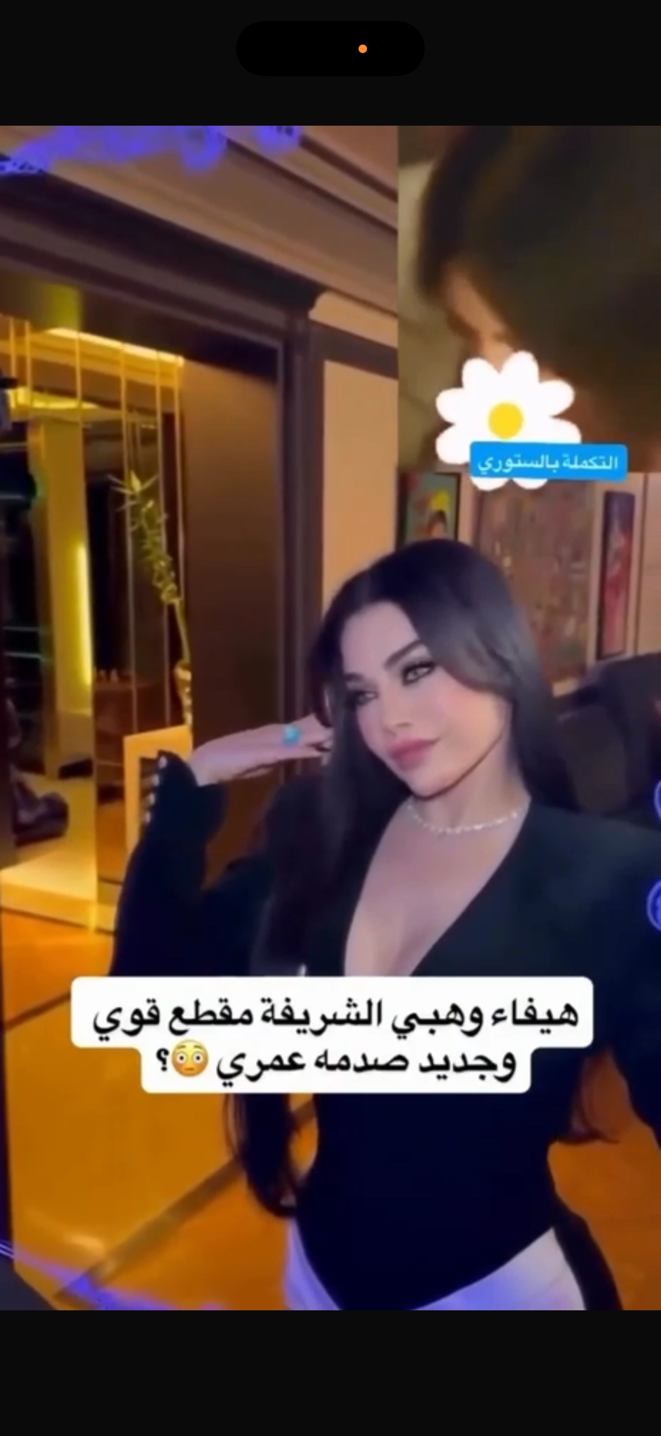 فيديو هيفاء وهبي مع ملياردير سعودى