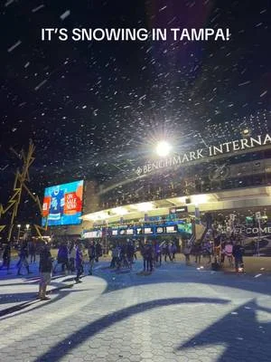 snow in Tampa - BIA x TBL